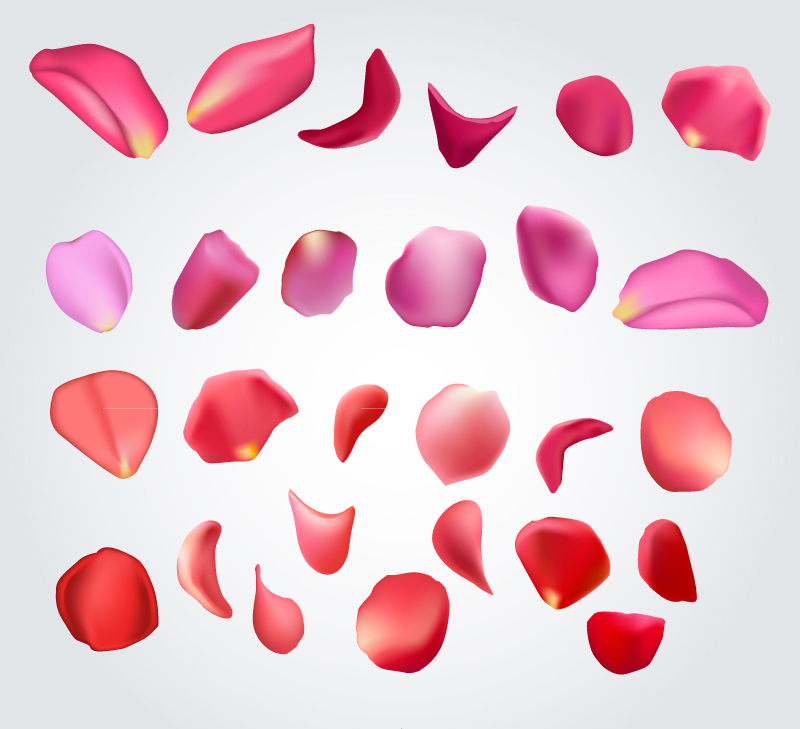 27, rose petal design vector material
