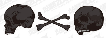 Skull theme