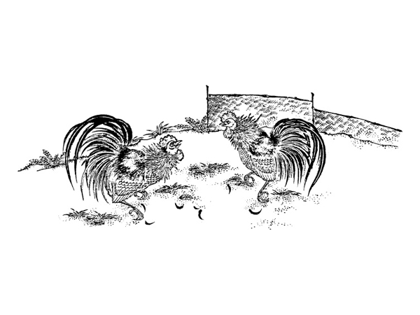 Vector material gamecock