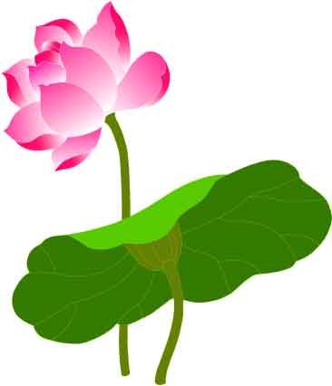 Lotus Vector