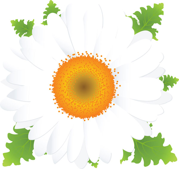 Beautiful small flowers vector material -2