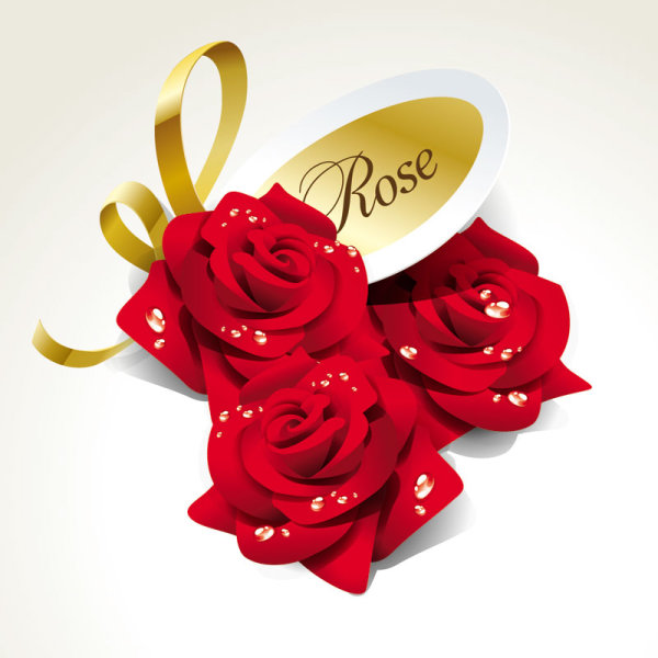 Beautiful roses 03 - vector material