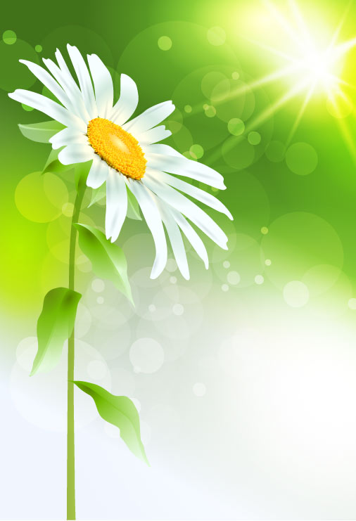 Exquisite flowers 04 - vector material