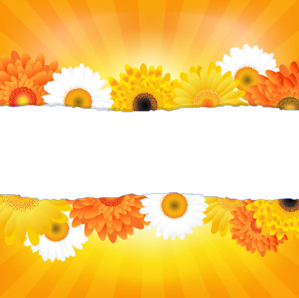 Flowers petals lace background 04 - Vector