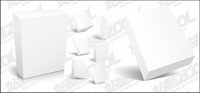 3d box blank template vector material