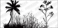 Vector-cut flowers, coconut tree material