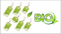 Green leaf material tag vector