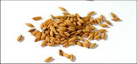 Food series picture material-4