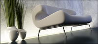 Sofa 3D display picture and plant material