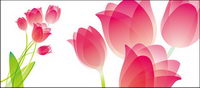 tulip special material