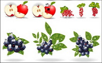 Vector material with the eyes of fruit