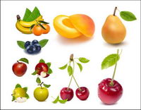 AI Vector drawing realistic fruit