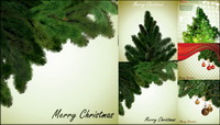 Local Christmas tree vector
