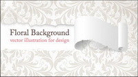 European gorgeous shading Vector -3
