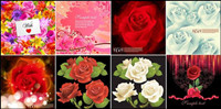 Beautiful flowers Vector