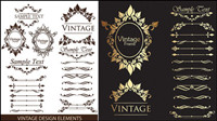 Gorgeous lace pattern vector material