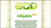 Environmental material layout design 01 - Vector