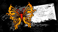 Colorful abstract butterfly pattern 02-- vector material