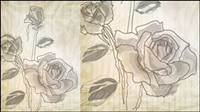 Elegant rose pattern background 04-- vector material