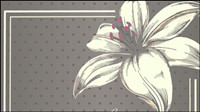 Fine pattern border background 04 - vector