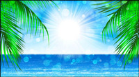 Beautiful coastal scenery - vector