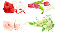 Beautiful flowers - vector material