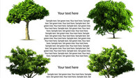 Trees vector material 