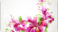 Colorful pattern background 03 - vector material