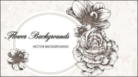 Line art pattern background 01 - vector
