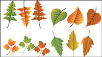 Leaves material 04 - vector material
