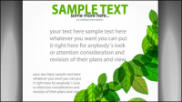 Green card 04 - vector material