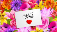 Valentine flowers background 01 - vector material