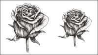 Hand-painted flowers material 05 - vector material