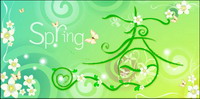 Spring material