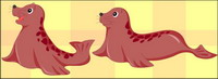 baby seals