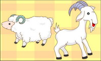 goats, sheep