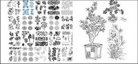 CDR Vector 49 motifs
