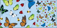 Insect vector illustration material