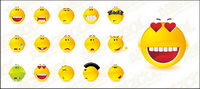 A classic expression vector material