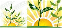 Vector sunset water plant material