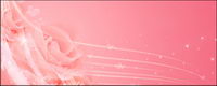 Dreams of pink roses background