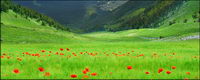 Beautiful countryside scenery picture material