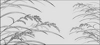 Line drawing of flowers -23