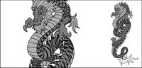 Chinese Dragon Vector-2