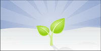 Vector material spring seed germination