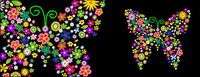 Colourful flowers of the butterfly