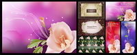 Dream flower lace vector material