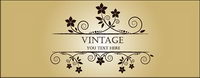 Vector beautifully decorated small lace material