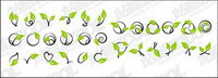 Vector rattan plant material