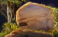 stone in woods